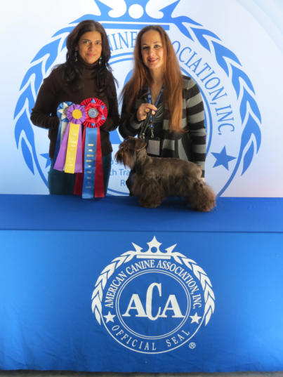 Angie Mcduffee Breeder Dog Show pic